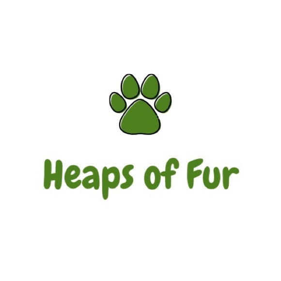 Meet Jasmine Owner of Base & Accent Boutique! - Picture 13 of 14